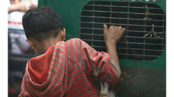 Uličník - vozí se zadarmo