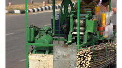 Stroj na drcení cukrové třtiny