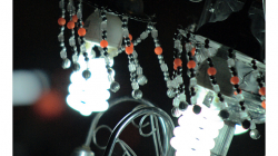 Svatba v ulicích Agry - úžasná záležitost