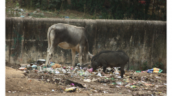 Jhansí - výhled z hotelu Highway přes ulici