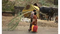 Jhansí - z nákupu s papírovou taškou a cukrovou třtinou