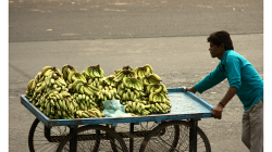 Jhansí - cesta na trh