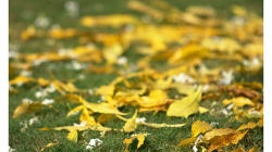 Khajuraho - chrámový komplex