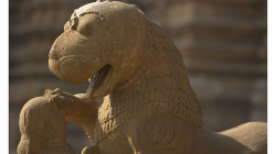 Khajuraho - chrámový komplex - divnozvíře