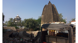 Khajuraho - tyto chrámy se očividně moc turistům neukazují