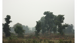 Cestou necestou do Orchhi