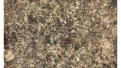 Mimikry - co a kde je na fotce? :)