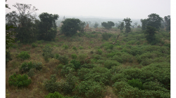 Orchha - pevnost, výhled mi značně připomínal fotky z Thajska