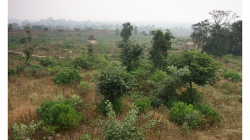 Orchha - pevnost, výhled mi značně připomínal fotky z Thajska