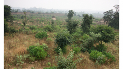 Orchha - pevnost, výhled mi značně připomínal fotky z Thajska