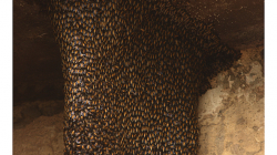 Pod tímto jsem nevědomky prošel