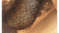 Pod tímto jsem nevědomky prošel - detail