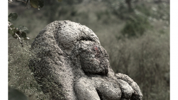 Kus zapomenutého umění