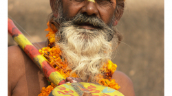 Fidliboj, neboli svatý muž za pár rupek