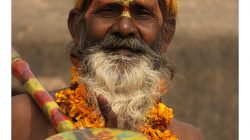 Fidliboj, neboli svatý muž za pár rupek