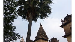 Orchha