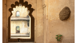 Sršní hnízdo na zdi, pro porovnání s velikostí dveří