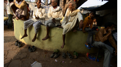 Orchha - odpočinek pod stromem