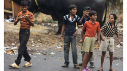 Jhansí - život na ulici