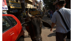 Varanasí - Boydu pustila, mne nikoliv