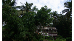 Goa - cestou do Palolem