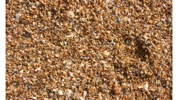 Goa - škebličná drť