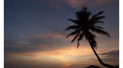 Goa - západy slunce byly jeden velký kýč