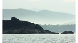 Goa - výlet člunem za delfíny