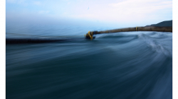 Goa - výlet člunem za delfíny