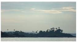 Goa - výlet člunem za delfíny