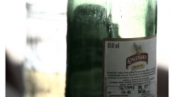 Goa - místní pivo Kingfish (ledňáček) - 0,6l za 50 rupií (necelých 25 korun