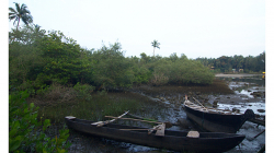 Goa - řeka v zadu za pláží