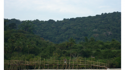 Goa - most za pláží