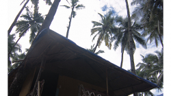 Goa - Palolem Beach - naše cocohut