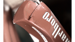 Goa - Palolem Beach - místní máčka, to je značka