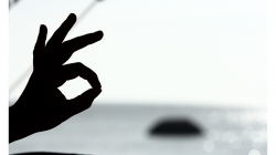 Goa - Palolem Beach - je to prostě OK!