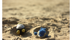 Goa - Palolem Beach - přijeli za námi