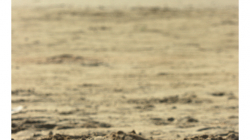 Goa - Palolem Beach - přijeli za námi