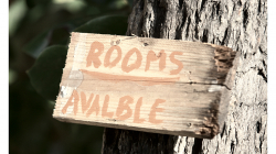 Goa - Palolem Beach - s angličtinou mají i indové občas problém :)