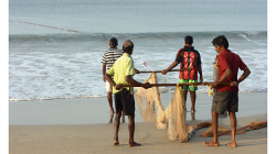 Goa - Palolem Beach - ranní výlov