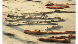 Goa - Palolem Beach - ranní výlov