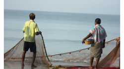 Goa - Palolem Beach - ranní výlov