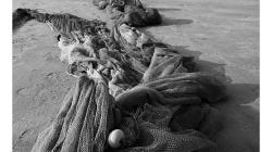 Goa - Palolem Beach - ranní výlov