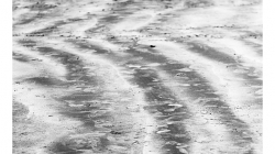 Goa - Palolem Beach - písek maluje