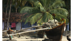 Goa - Palolem Beach - takovéto loďky používají téměř všichni