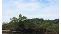 Goa - Palolem Beach - výlet loďkou po řece