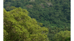 Goa - Palolem Beach - výlet loďkou po řece