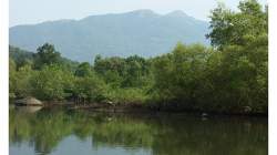 Goa - Palolem Beach - výlet loďkou po řece