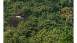 Goa - Palolem Beach - výlet loďkou po řece