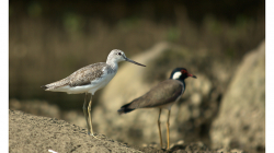 Goa - Palolem Beach - výlet loďkou po řece